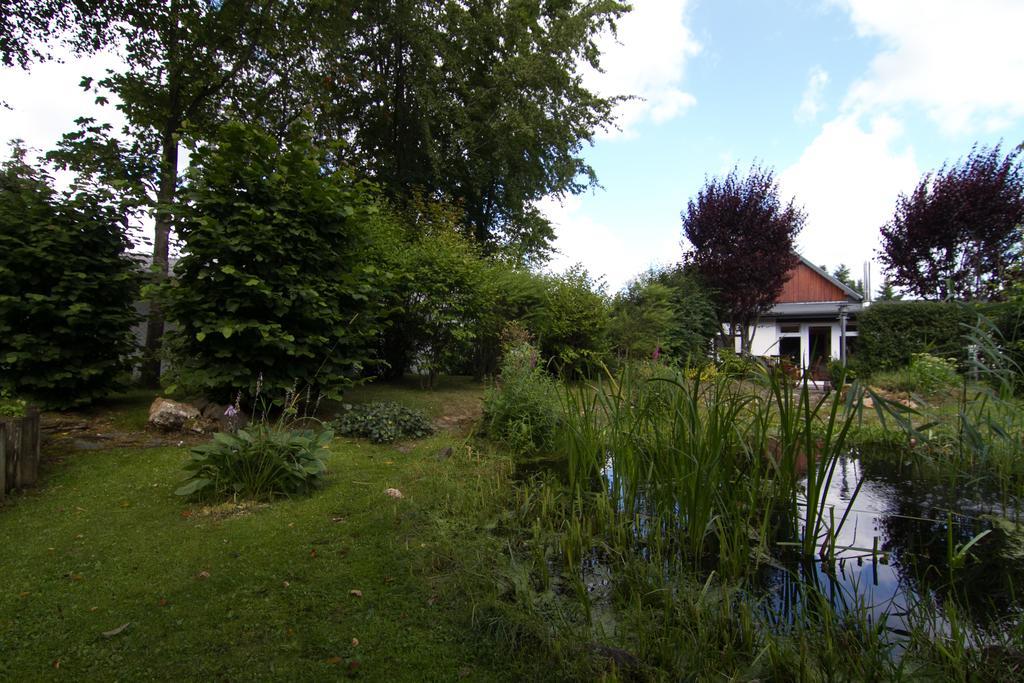 Ferienhaus Wildblick Schleiden Exteriör bild